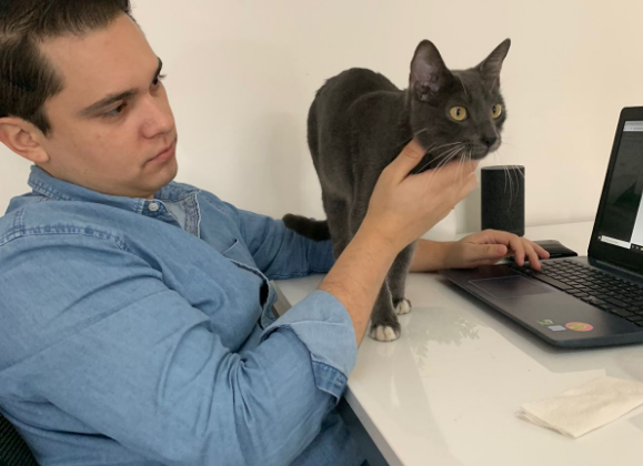 Cats are some of our most frequent consultants.